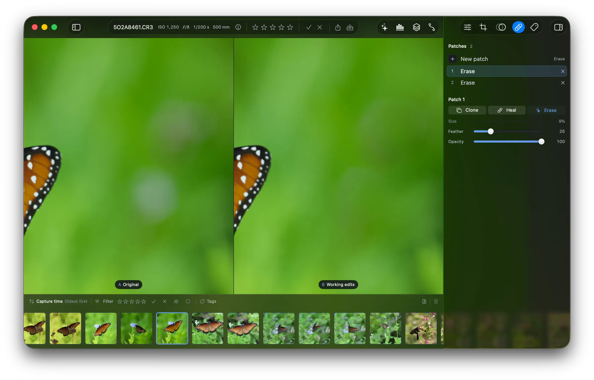 The Patches tab beside a compare view of a butterfly wing on green. The original shows two pale spots in the background, and the working edits show them gone. The list holds two Erase patches, and Patch 1 shows the Clone, Heal, and Erase modes with Size, Feather, and Opacity.