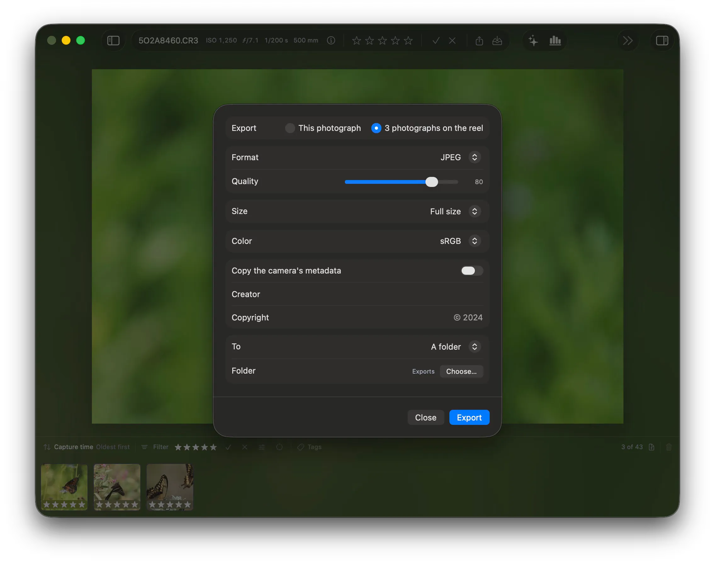 The export sheet over the canvas. Export is set to “3 photographs on the reel”, Format is JPEG, Quality is 80, Size is Full size, Color is sRGB, and To is A folder.