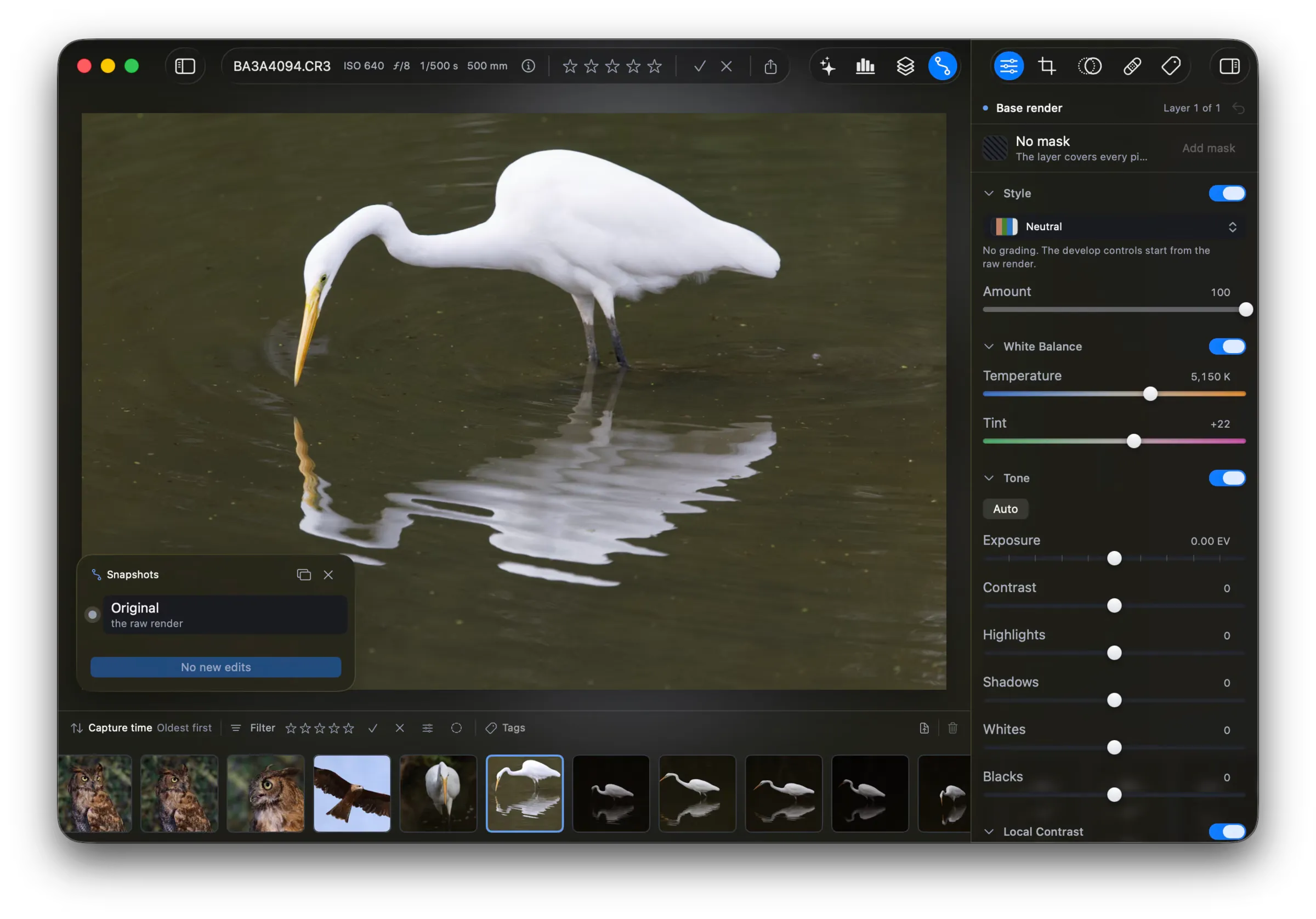 The Snapshots pane over the canvas, with one row, Original, and the caption “the raw render”. The button at the foot of the pane reads “No new edits” and is disabled. The develop controls in the sidebar are all at 0.