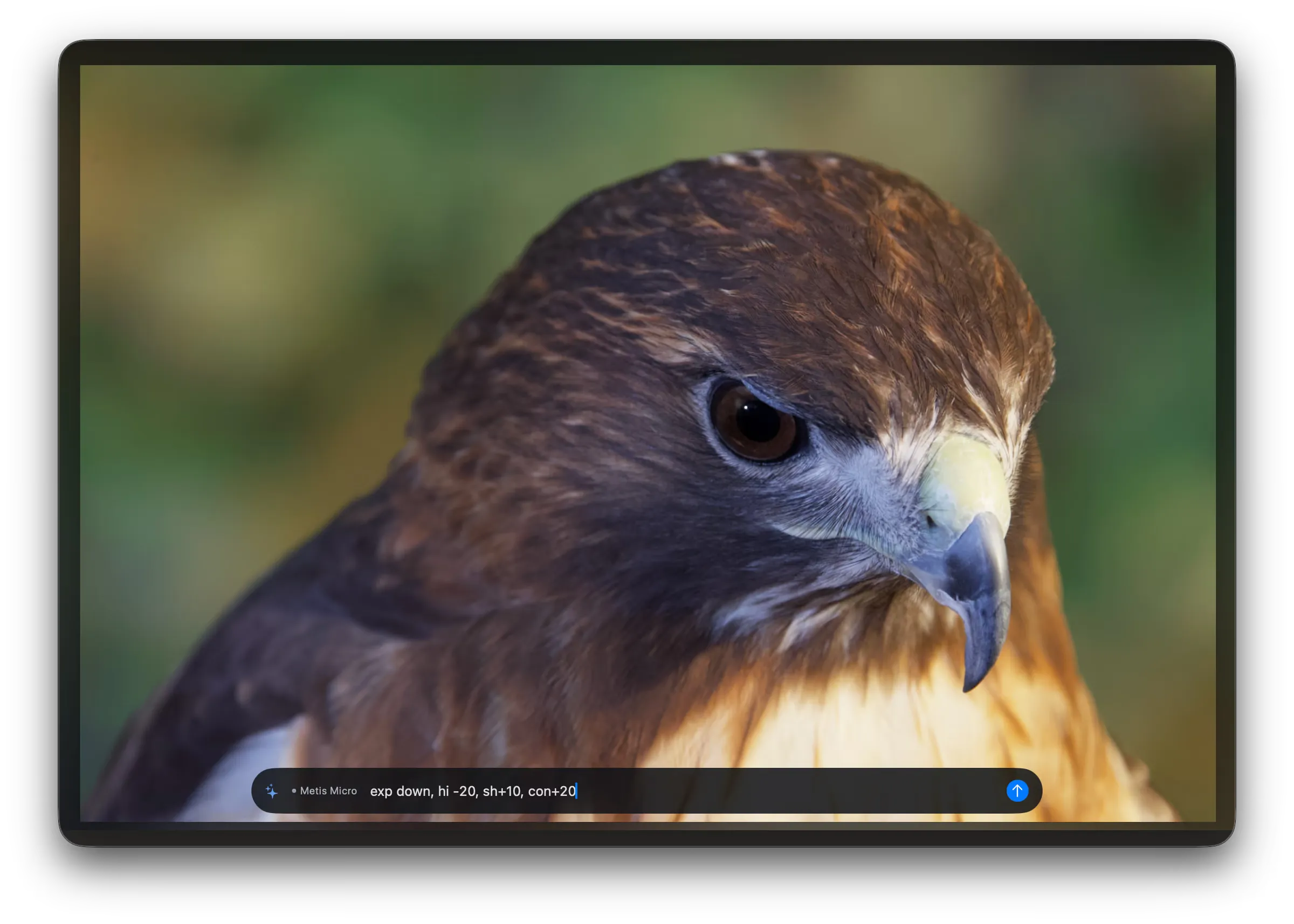 The ask bar over a photo in gallery view. The request reads “exp down, hi -20, sh+10, con+20”.