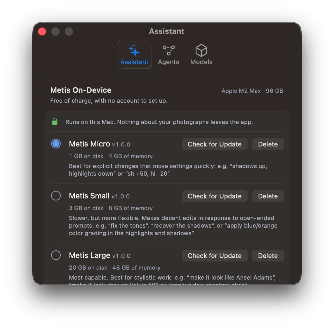 The Assistant tab of the settings. Metis On-Device lists Metis Micro, Metis Small, and Metis Large, with the disk space and the memory that each one needs.