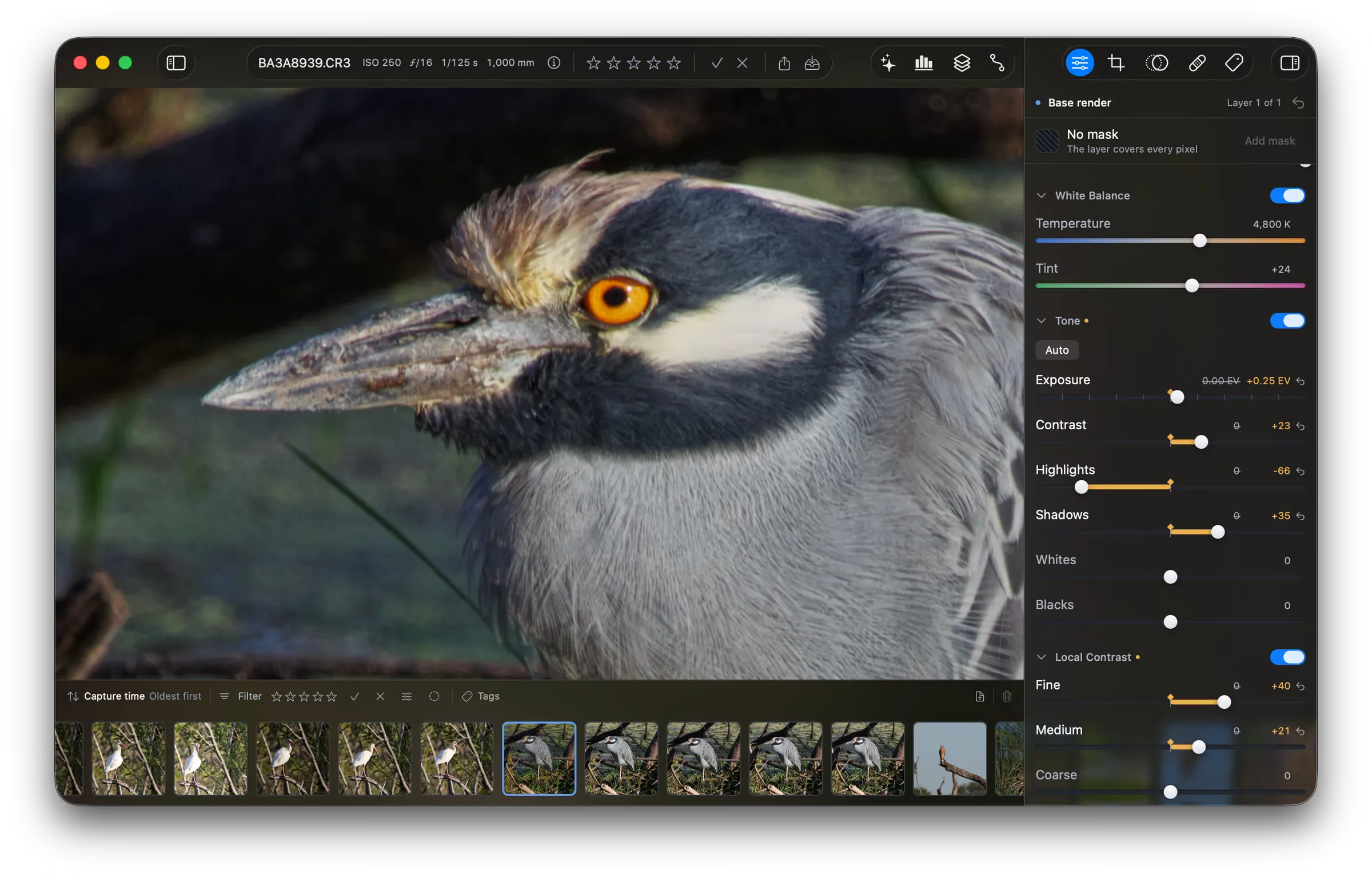 The develop tab beside a photo of a heron. Temperature reads 4,800 K and Tint +24. The Tone group shows an Auto button, Highlights at -66, and Shadows at +35. Local Contrast is raised.