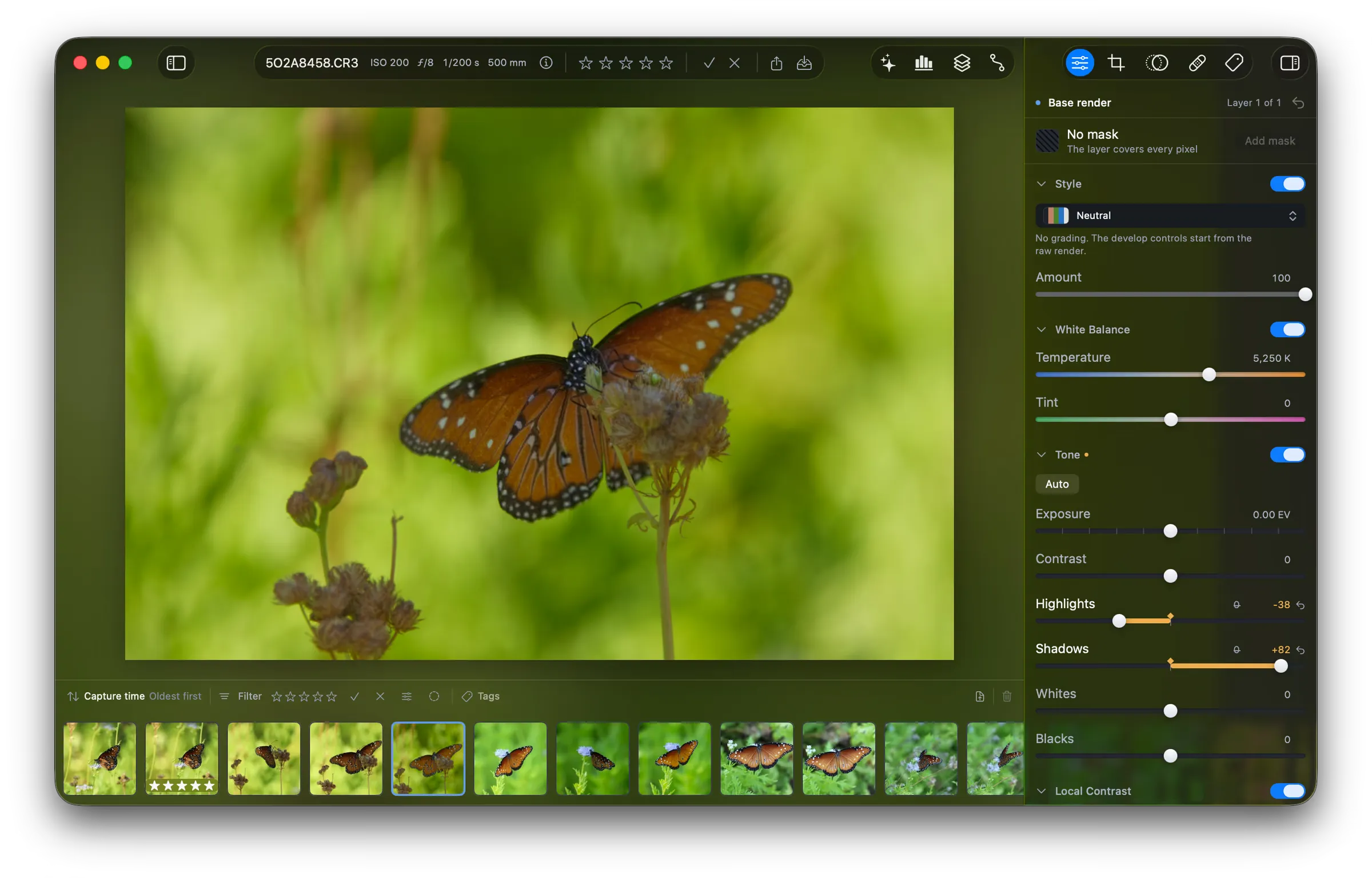 The Tone group in the tool sidebar, with Shadows at +82 and Highlights at -38. On the canvas, a butterfly rests on a dry flower against green.